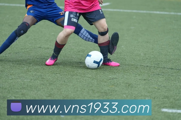 威尼斯人官网平台生态图